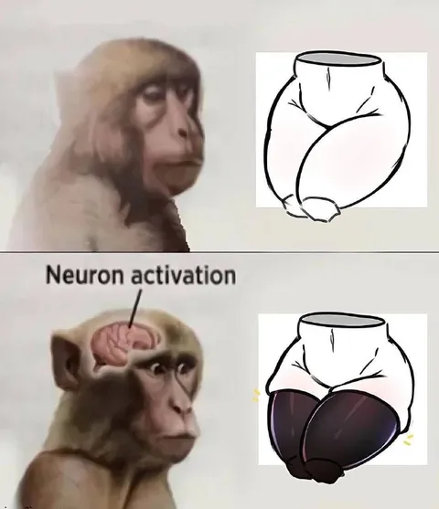 Neuron Activation Monkey