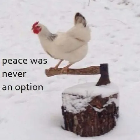 Peace Was Never an Option Chicken