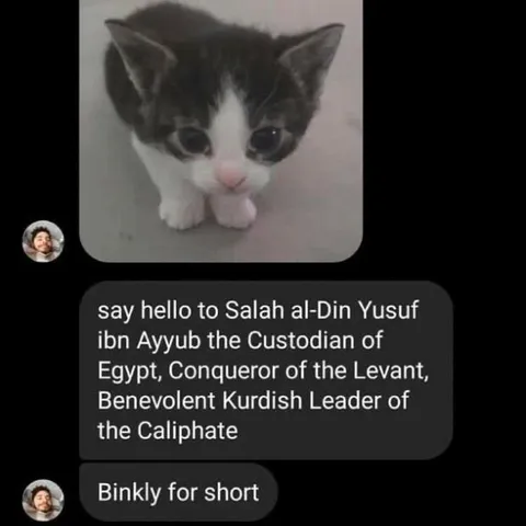 Binkly the Tiny Cat