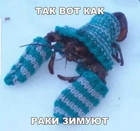 Раки зимуют в варежках