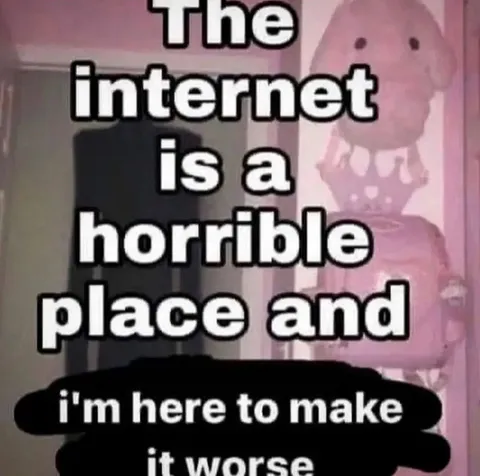 The Internet Makes It Worse
