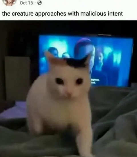 The Creature Approaches