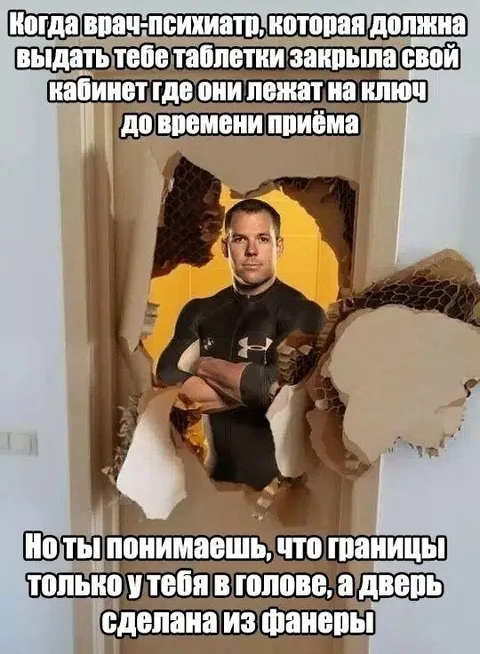 Психиатр и фанерная дверь