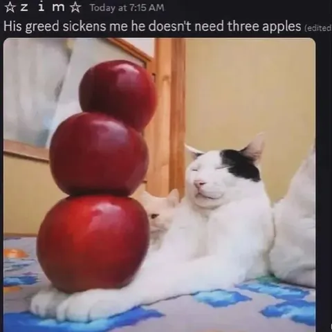 Cat Claims Three Apples Is Greedy