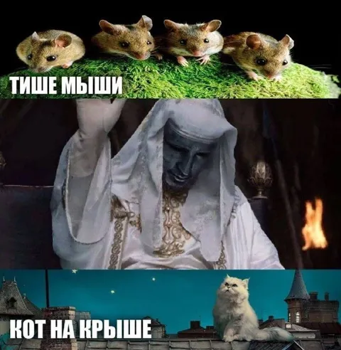 Тише мыши, кот на крыше
