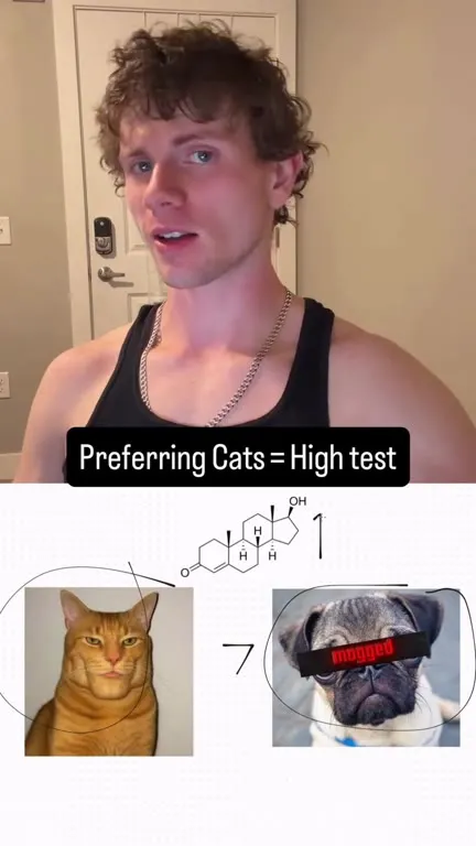 Preferring Cats Is High Test