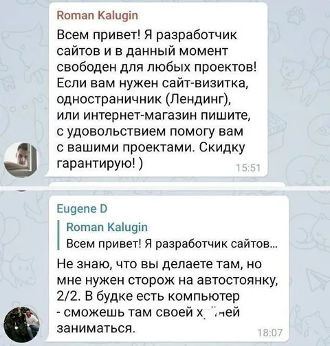 Разработчик сайтов и автосгонка