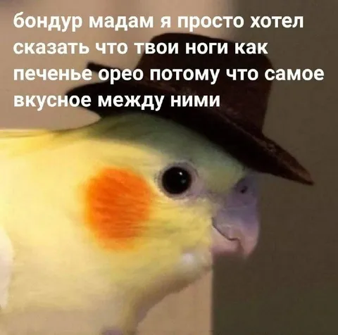 Ноги как печенье орео