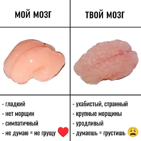 Мой мозг и твой мозг