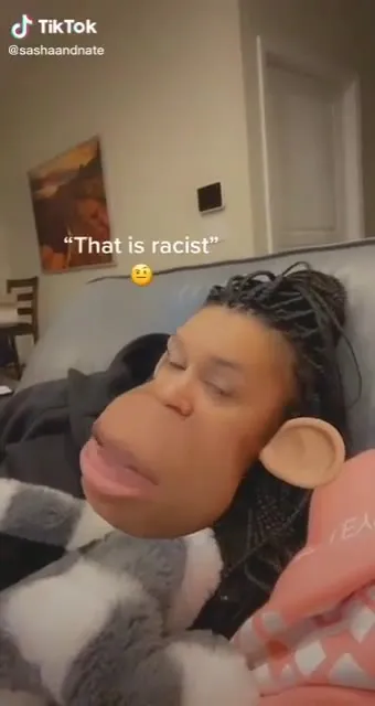 That Is Racist Monkey Filter