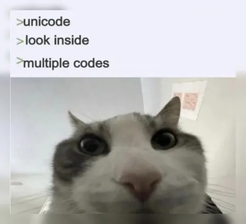Unicode Look Inside Multiple Codes