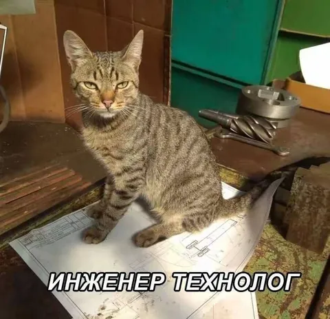 Инженер-технолог кот