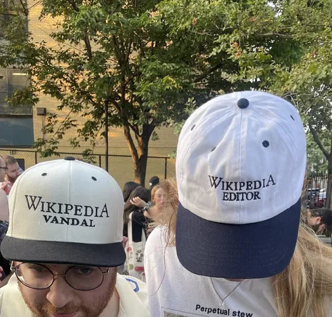Wikipedia Vandals Meet Wikipedia Editor