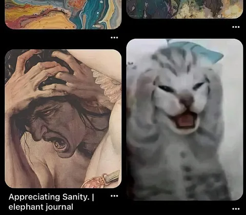 Appreciating Sanity Elephant Journal