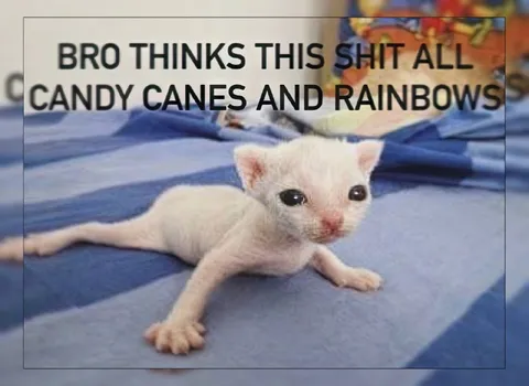 Bro Thinks It’s Candy Canes