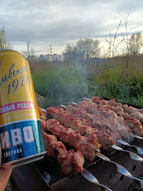 Шашлык и пиво на природе