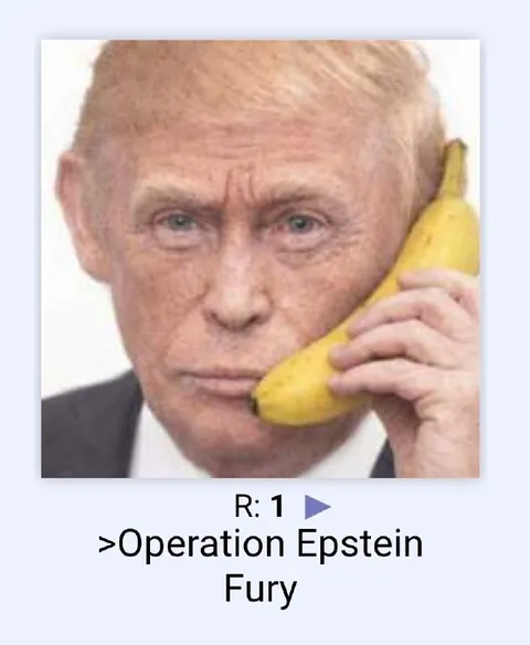 Operation Epstein Fury