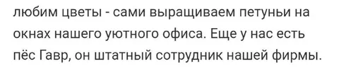 Пёс Гавр — штатный сотрудник