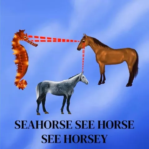 Seahorse Sees Horsey