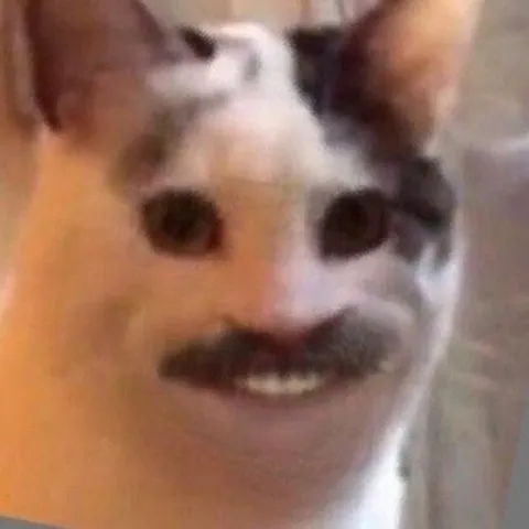 Кот с человеческим лицом