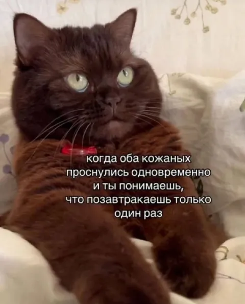Когда оба кожаных проснулись