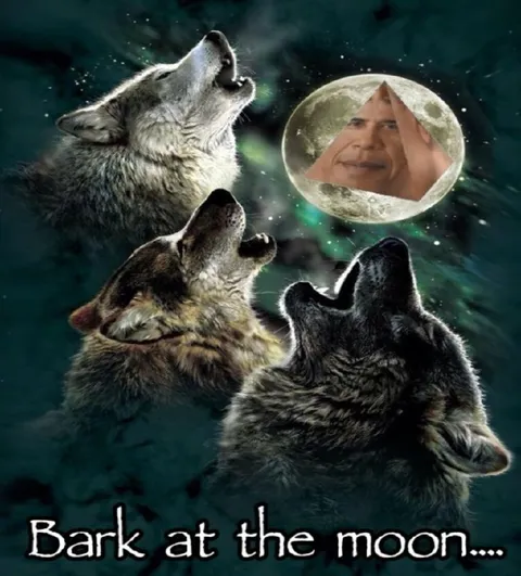 Wolves Bark at the Moon