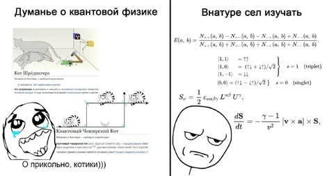 Котики вместо квантовой физики