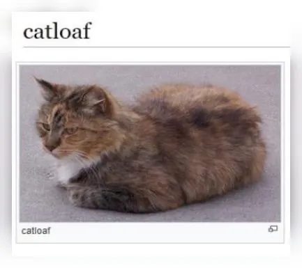 Catloaf Cat