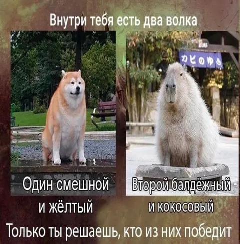 Внутри тебя два волка