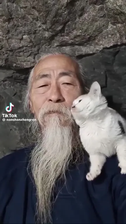 Мудрец и его кот