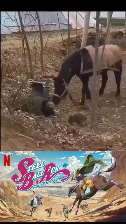 Horse Falls Into Steel Ball Run