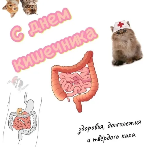 С Днем Кишечника