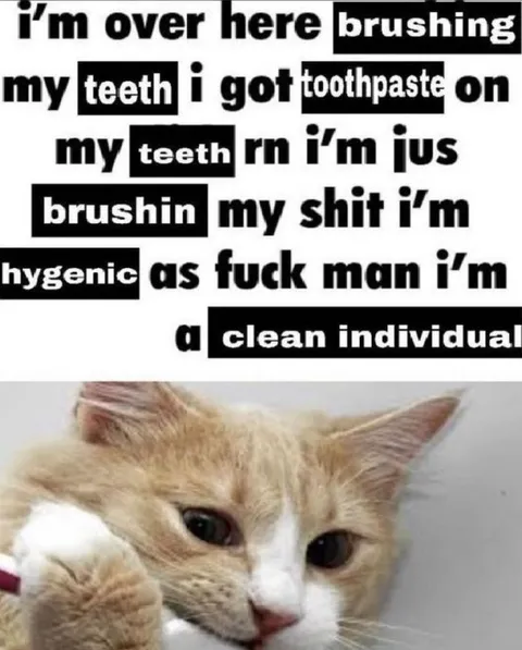 Hygienic Clean Individual Cat