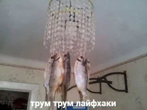 Трум трум лайфхаки с рыбами