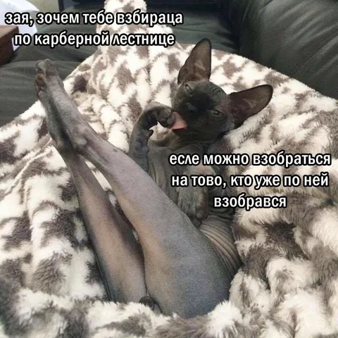 Зачем взбираться по лестнице