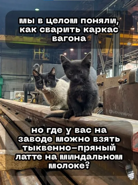Коты сварили каркас вагона