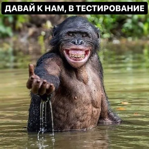 Давай к нам в тестирование