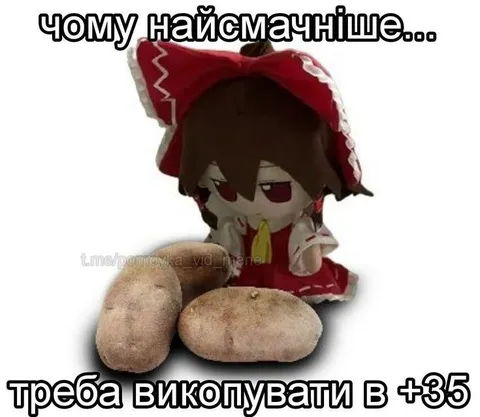 Копати картоплю в +35
