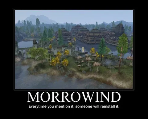 Morrowind Reinstall Joke