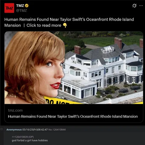 Taylor Swift Mansion Hobbies