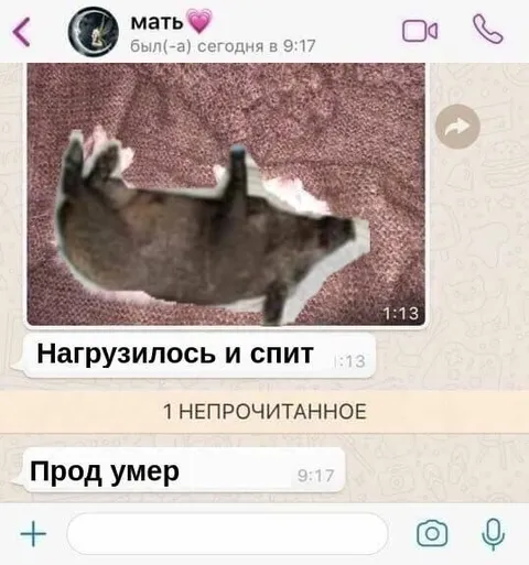 Нагрузилось и спит