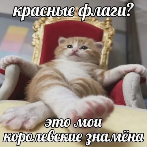 Кот с королевскими знамёнами