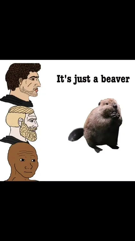 Slavs See a Beaver