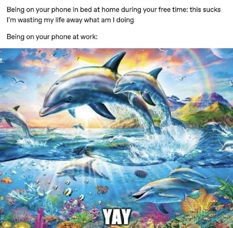 Phone at Work Dolphin Joy