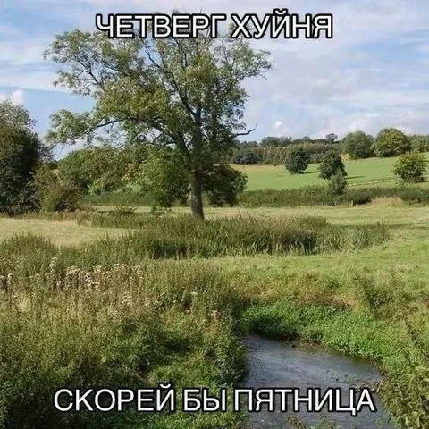 Четверг хуйнЯ, скорее бы пятница