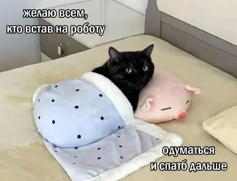 Кот не хочет вставать на работу