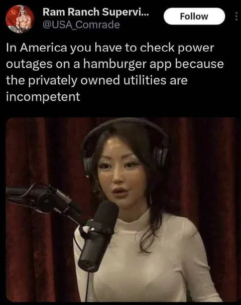 Hamburger App Power Outage Check