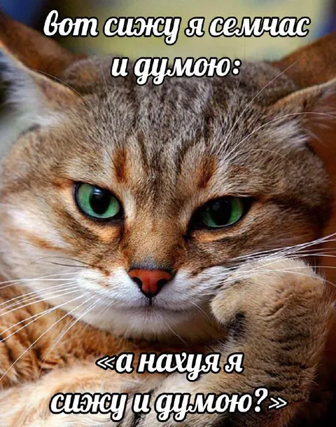 Сижу и думаю о смысле