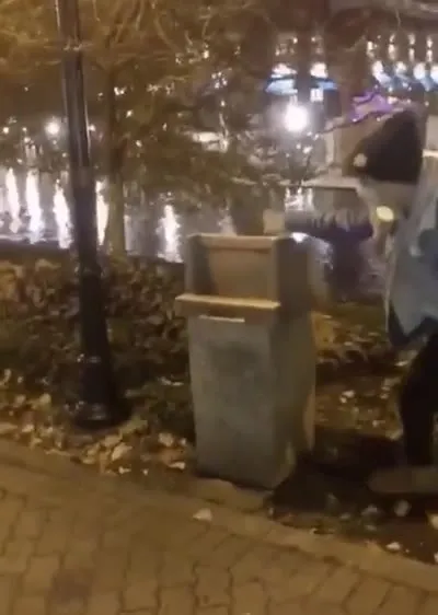 Енот прячется в урне