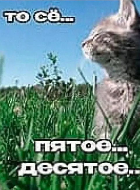 То сё, пятое-десятое